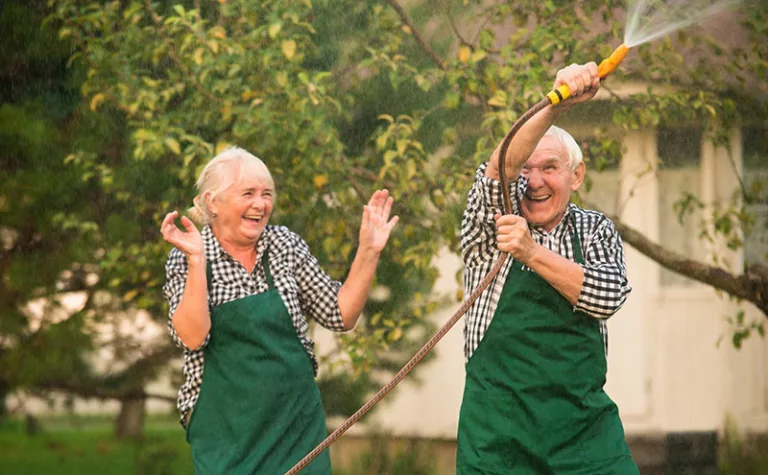 Social Activities for Senior Well-being