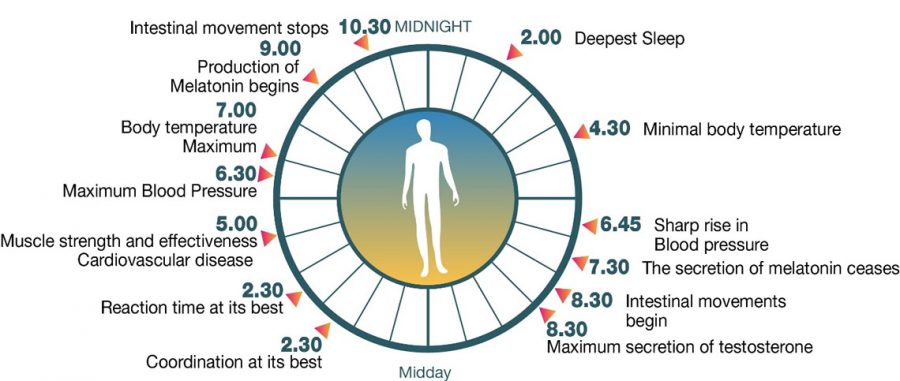 Circadian Lighting and Body Clock Sync