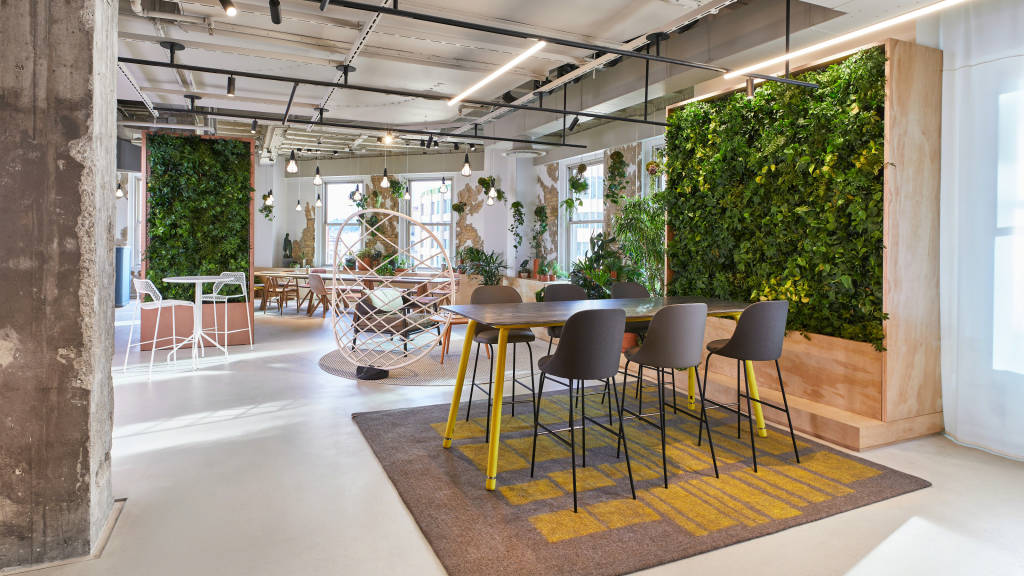 Nature Elements in Office Design