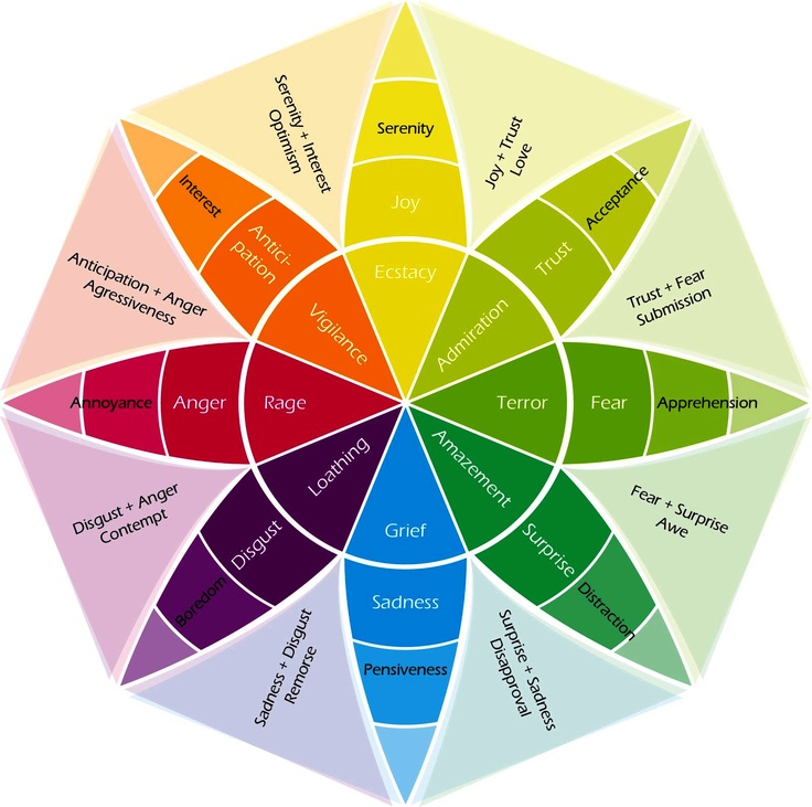 Understanding the Complexities of Emotions